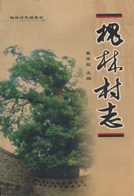 《《槐林村志》》.pdf电子版_山西省志插图