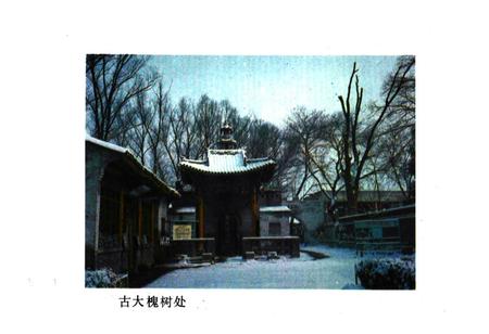 《洪洞古大槐村志》.pdf电子版_山西省志插图3