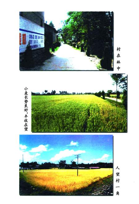 《《翼城县人望村志》》.pdf电子版_山西省志插图5