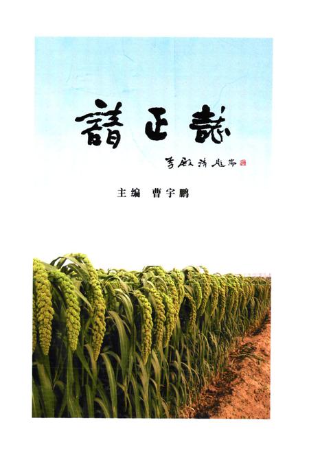 《《谙正村志》》.pdf电子版_山西省志插图1