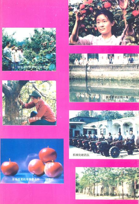 《临汾市果树场志(1958.10-1988.10)》.pdf电子版_山西省志插图3 《临汾市果树场志(1958.10-1988.10)》.pdf电子版_山西省志插图3