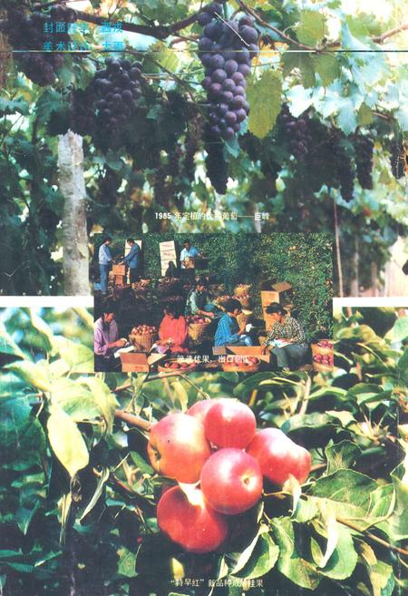 《临汾市果树场志(1958.10-1988.10)》.pdf电子版_山西省志插图4 《临汾市果树场志(1958.10-1988.10)》.pdf电子版_山西省志插图4