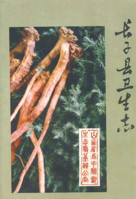 《《长子县卫生志》》.pdf电子版_山西省志