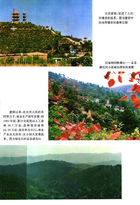 《《阳泉林业志》》.pdf电子版_山西省志预览图2