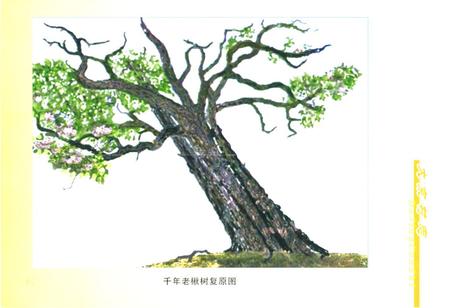 《《大京村志》》.pdf电子版_山西省志插图5