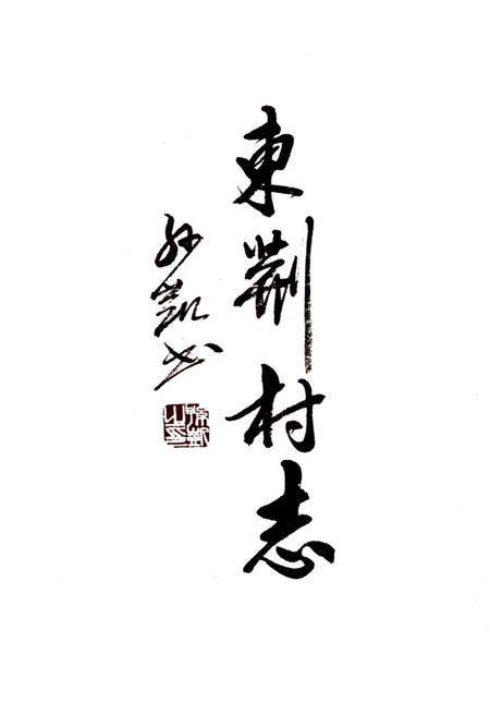 《东荆村志》.pdf电子版_山西省志插图1