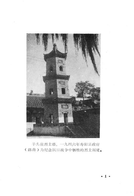 《寿阳人民革命斗争史》.pdf电子版_山西省志插图2