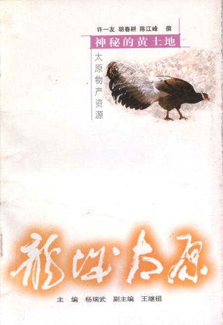 《·龙城太原丛书·神秘的黄土地–太原物产资源》.pdf电子版_山西省志