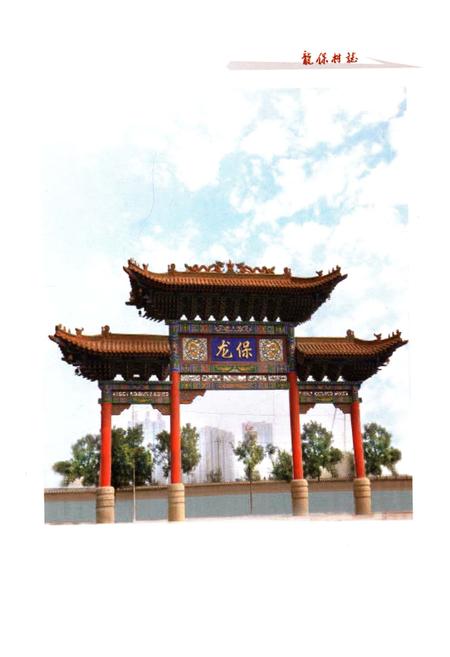 《龙保村志》.pdf电子版_山西省志插图3