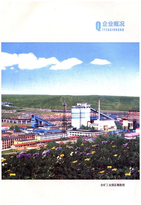 《燕子山矿志 1988-2011》.pdf电子版_山西省志插图5