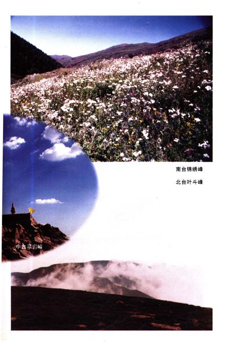 《读懂五台山 名胜篇》.pdf电子版_山西省志插图5