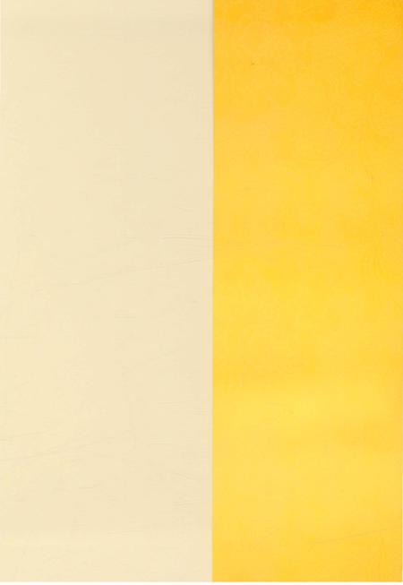 《阳曲县人民代表大会志 1949-2014 中》.pdf电子版_山西省志预览图5