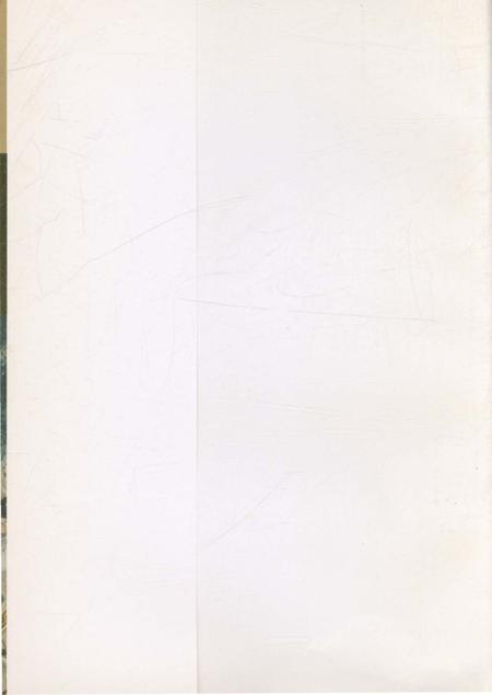 《寻根在洪洞·洪洞古大槐树处移民志》.pdf电子版_山西省志插图1 《寻根在洪洞·洪洞古大槐树处移民志》.pdf电子版_山西省志插图1