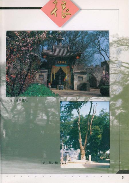 《寻根在洪洞·洪洞古大槐树处移民志》.pdf电子版_山西省志插图5 《寻根在洪洞·洪洞古大槐树处移民志》.pdf电子版_山西省志插图5