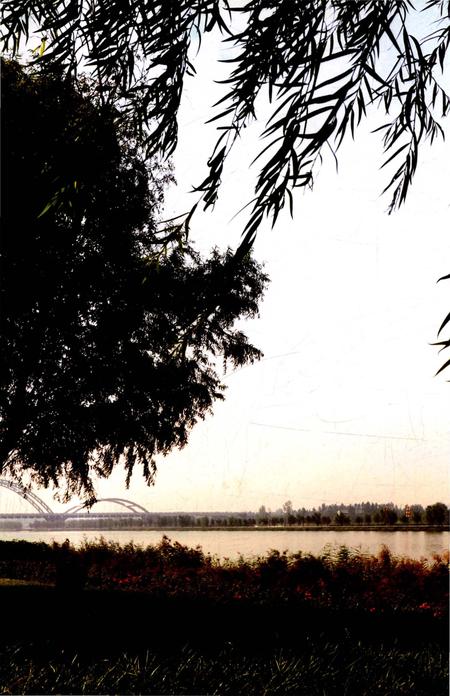 《临汾市残疾人联合会志》.pdf电子版_山西省志插图4 《临汾市残疾人联合会志》.pdf电子版_山西省志插图4