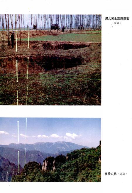 《陕西土壤》.pdf电子版_陕西省志插图4