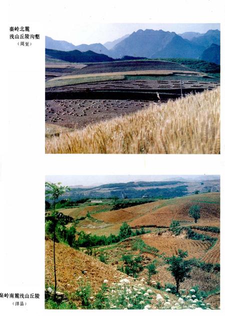 《陕西土壤》.pdf电子版_陕西省志插图5