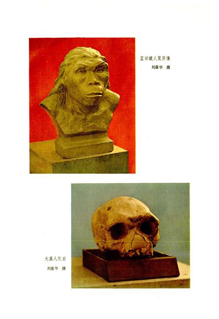 《陕西省志 人口志》.pdf电子版_陕西省志插图1