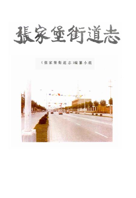 《张家堡街道志》.pdf电子版_陕西省志插图1
