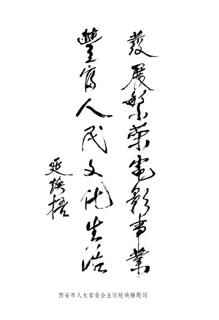 《西安电影志》.pdf电子版_陕西省志插图4