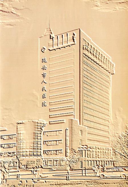 《延安市人民医院志》.pdf电子版_陕西省志插图3