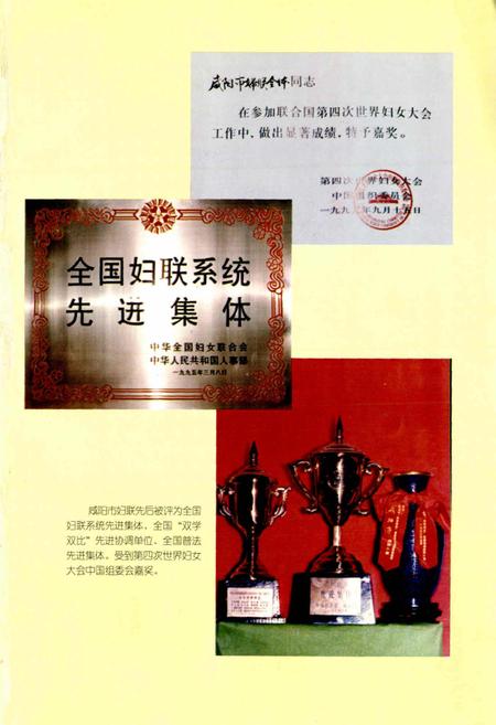 《咸阳市妇女志》.pdf电子版_陕西省志插图4