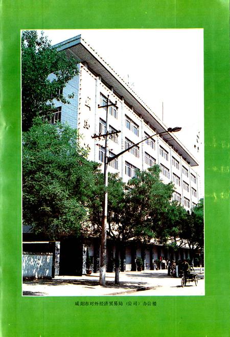 《咸阳市对外贸易志》.pdf电子版_陕西省志插图3