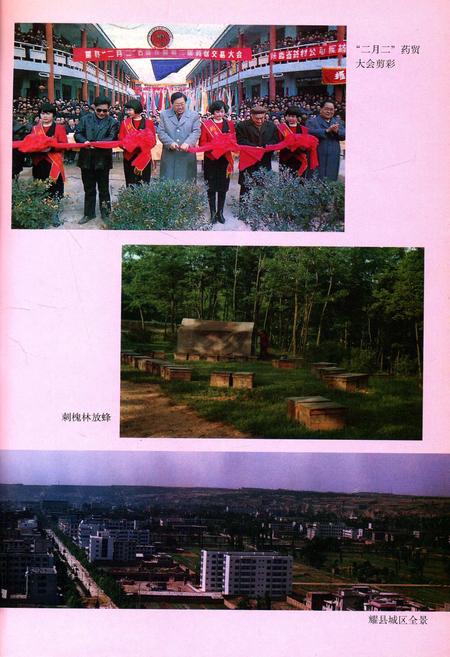 《耀县志》.pdf电子版_陕西省志插图3