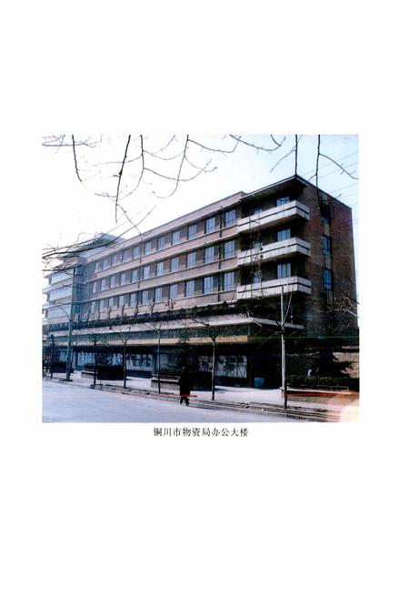 《铜川市物资志》.pdf电子版_陕西省志插图3
