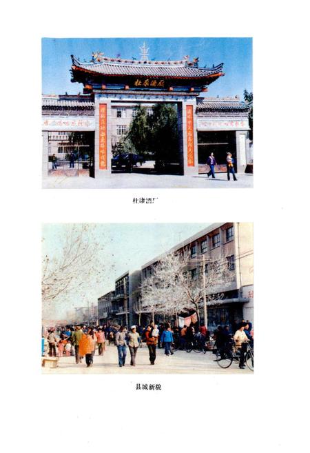 《白水县志》.pdf电子版_陕西省志插图4