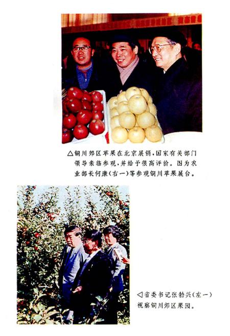 《铜川郊区苹果志》.pdf电子版_陕西省志插图2