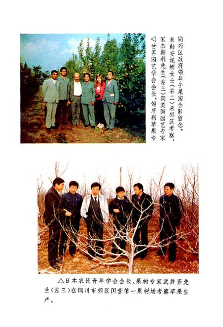 《铜川郊区苹果志》.pdf电子版_陕西省志插图3