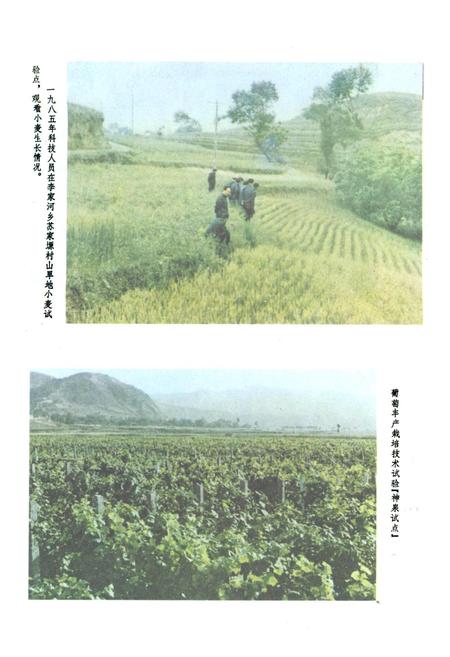 《陇县科技志》.pdf电子版_陕西省志插图5