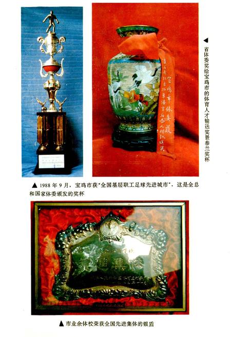 《宝鸡市体育志》.pdf电子版_陕西省志插图3