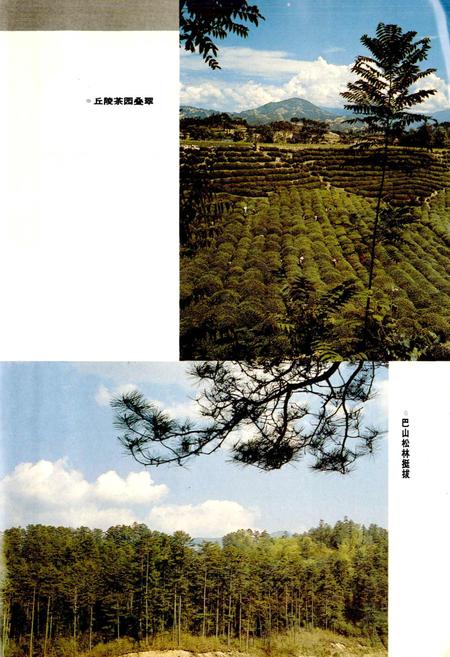 《南郑县志》.pdf电子版_陕西省志插图5