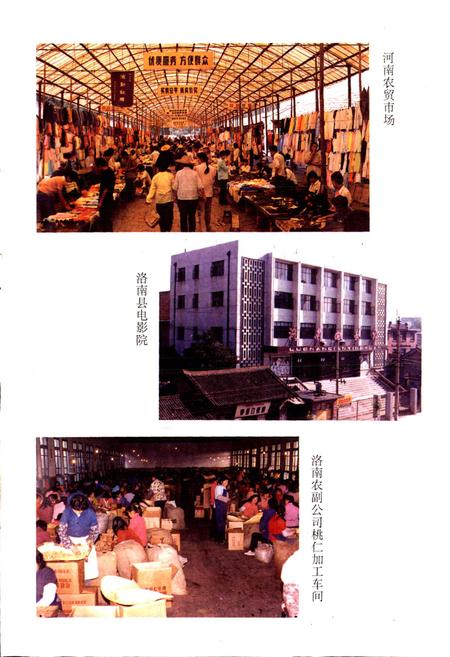 《陕西省洛南县地名志》.pdf电子版_陕西省志插图5