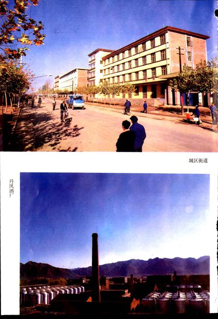 《陕西省丹凤县地名志》.pdf电子版_陕西省志插图3