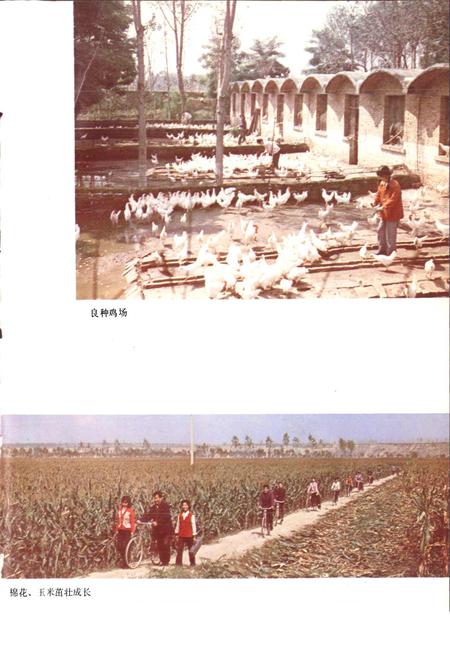 《陕西省高陵县地名志》.pdf电子版_陕西省志插图5