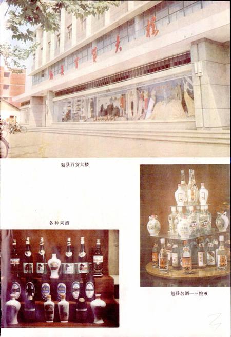 《陕西省勉县地名志》.pdf电子版_陕西省志插图4