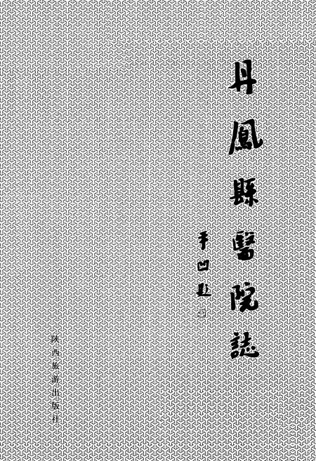 《丹凤县医院志》.pdf电子版_陕西省志插图1