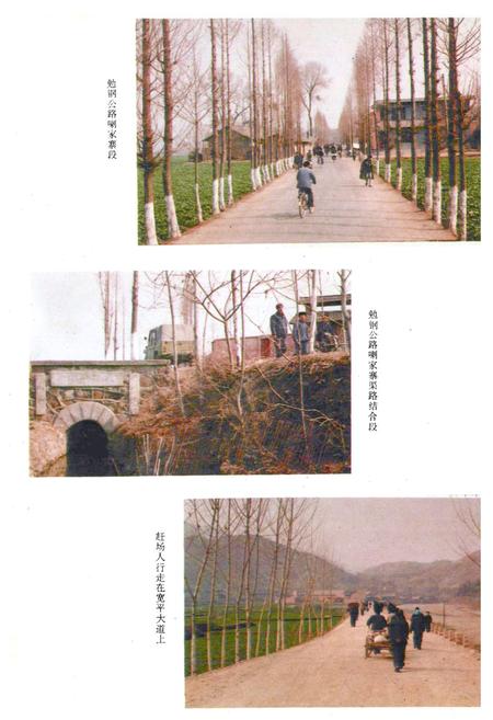 《勉县交通志》.pdf电子版_陕西省志插图4