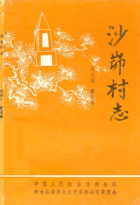 《沙峁村志》.pdf电子版_陕西省志插图