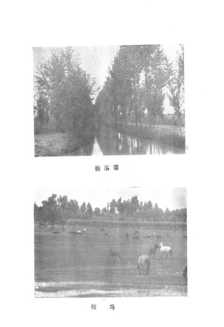 《金鸡滩乡志》.pdf电子版_陕西省志插图4 《金鸡滩乡志》.pdf电子版_陕西省志插图4