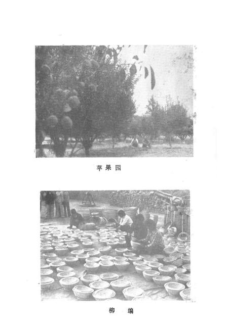 《金鸡滩乡志》.pdf电子版_陕西省志插图5 《金鸡滩乡志》.pdf电子版_陕西省志插图5