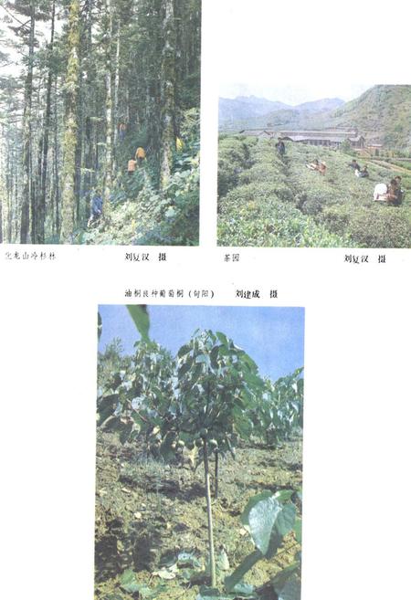 《陕西省安康地区地理志》.pdf电子版_陕西省志插图4 《陕西省安康地区地理志》.pdf电子版_陕西省志插图4