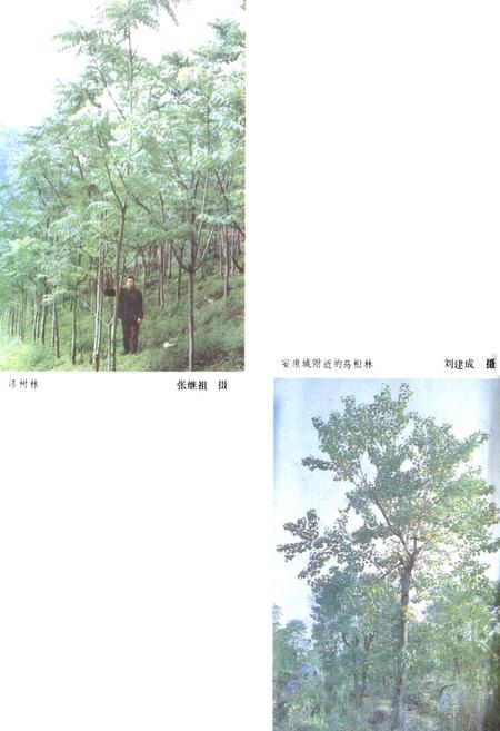 《陕西省安康地区地理志》.pdf电子版_陕西省志插图5 《陕西省安康地区地理志》.pdf电子版_陕西省志插图5