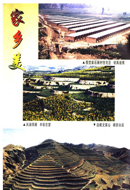 《西贺家石村志》.pdf电子版_陕西省志插图5