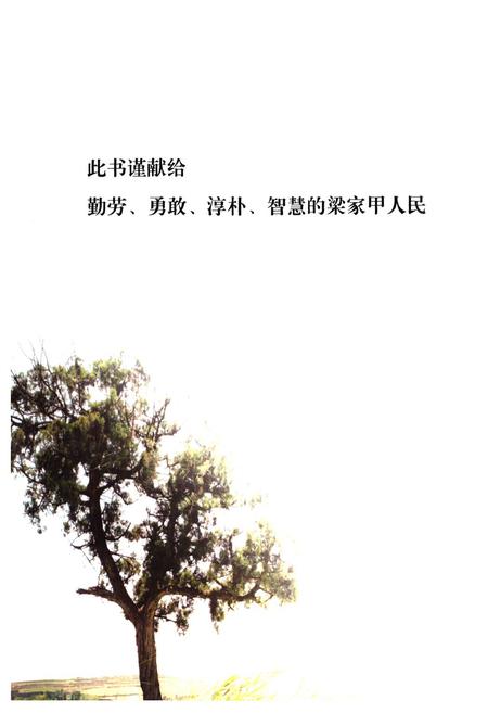 《梁家甲村志》.pdf电子版_陕西省志插图2