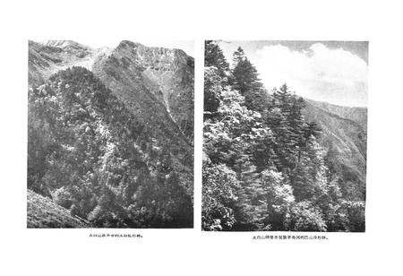 《秦岭植物志·第一卷种子植物(第一册)》.pdf电子版_陕西省志插图4