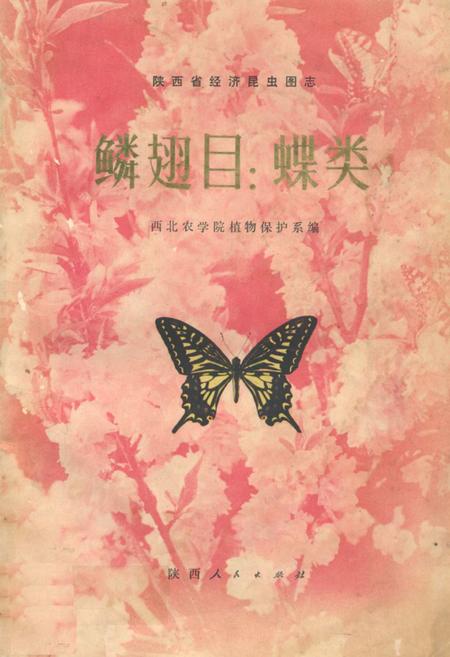《鳞翅目_蝶类》.pdf电子版_陕西省志